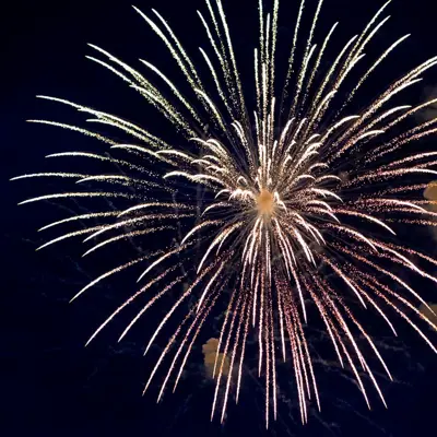 Firework in the night sky.