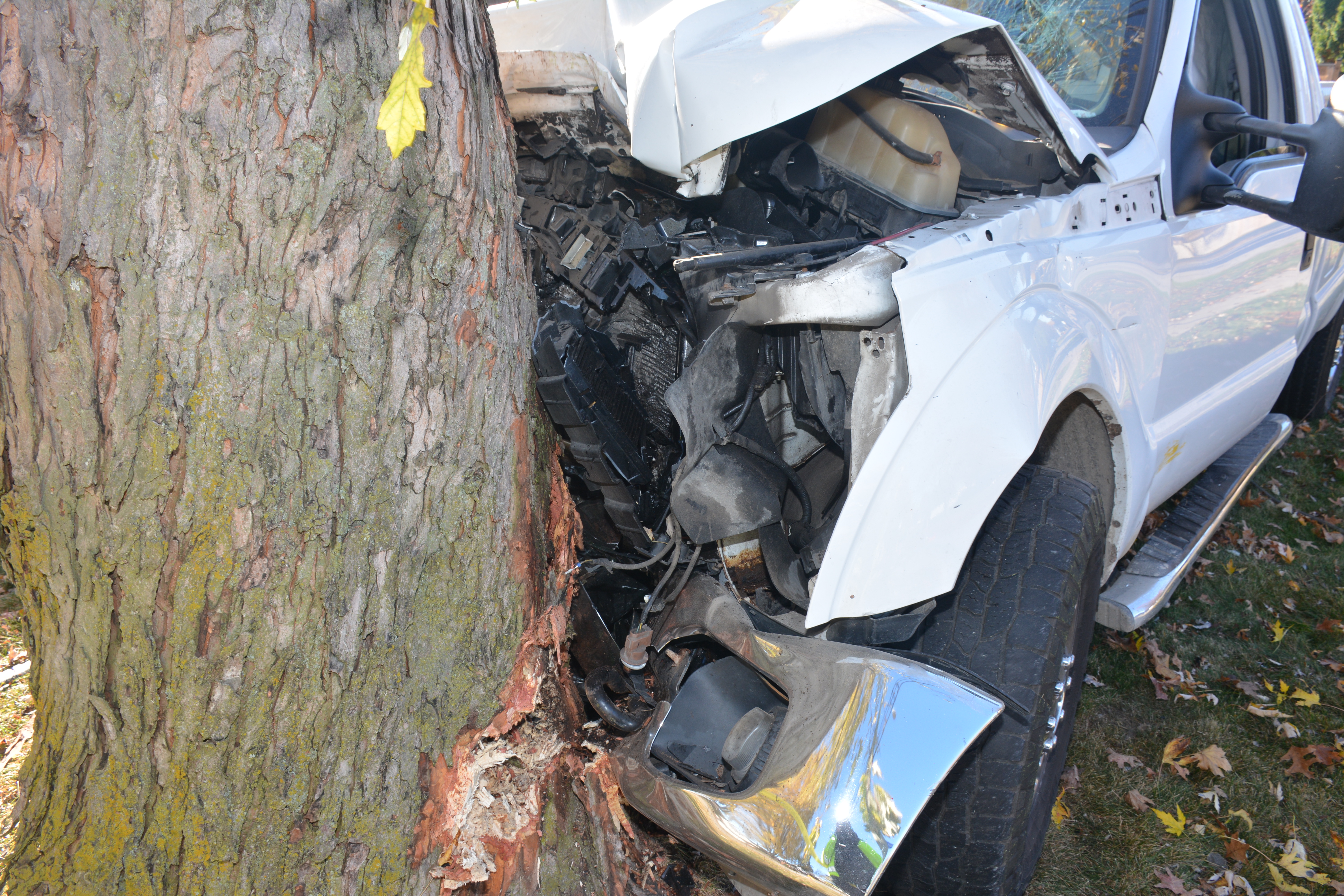 White truck crash into tree