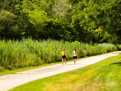 Two people walking on a trail surrounded by greenery.