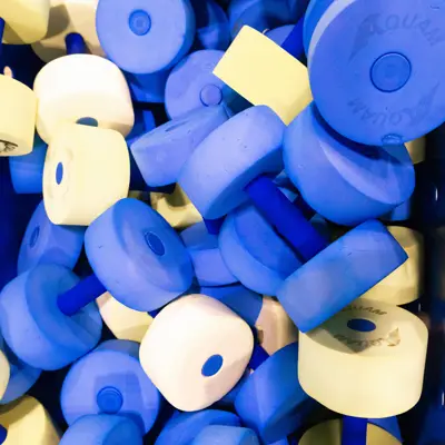 Aquatic weights in a bin.