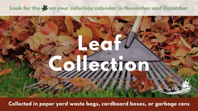 Leaf collection 2024.