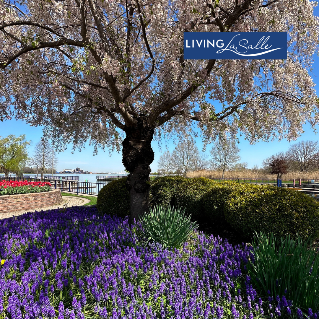 Conservation Lands Instagram Post.