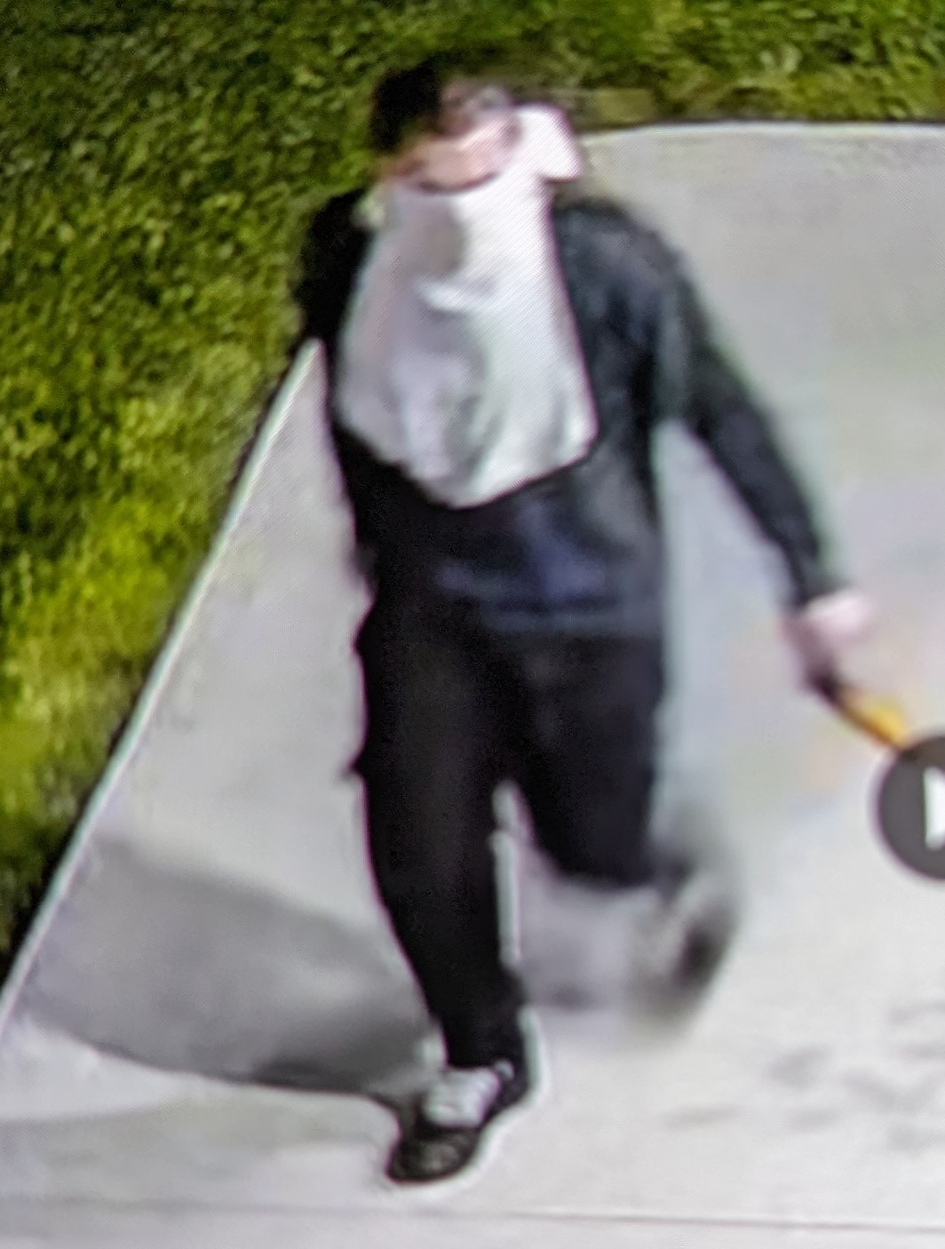 Picture of suspect