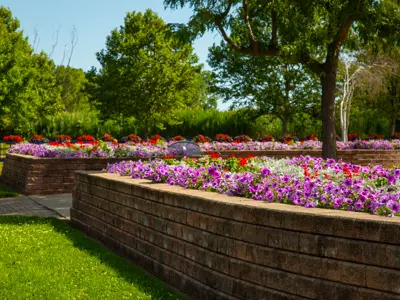 Purple, white, and red flowerbeds.