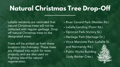 Natural Christmas tree drop-off.