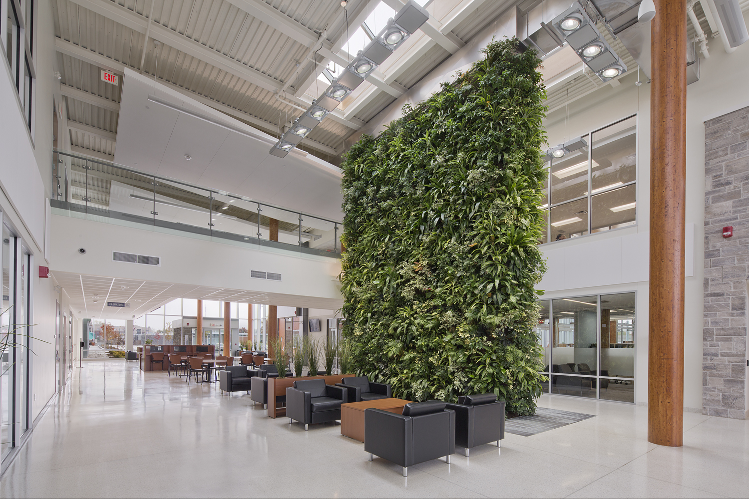 Living plant wall located in Town of LaSalle Civic Centre.