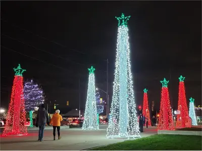 Lit up Christmas trees at LaSalle holiday lights.